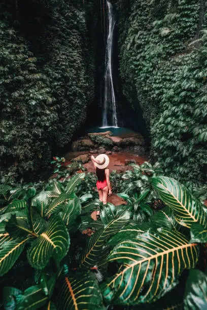 Photo of Traveling young woman with tropical rainforest in Bali enjoying life at beautiful Lake Lake waterfall.