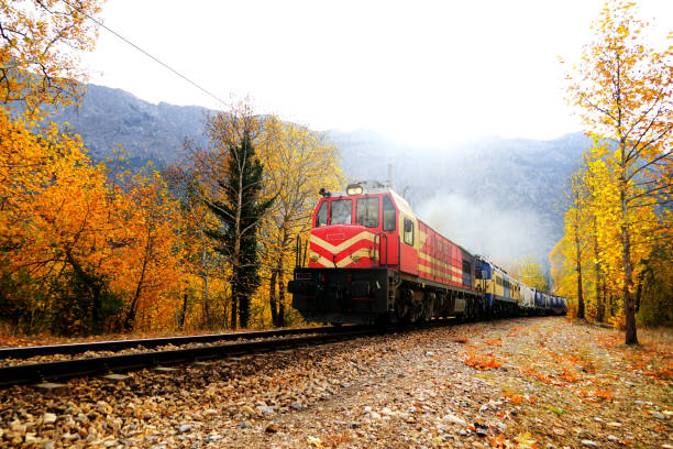 istock Passenger Train in countryside landscape 1172849134