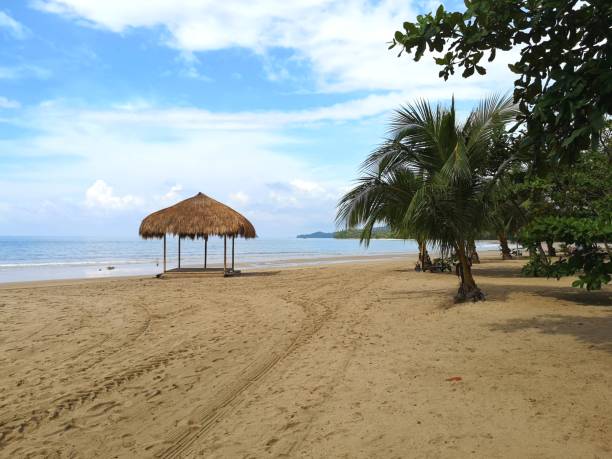 istock Lio beach in El Nido, Palawan 1172851305