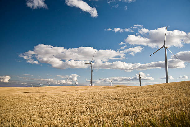 de l'énergie éolienne - windmill cultivated land crop day photos et images de collection