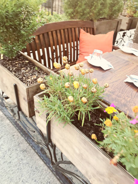 Outdoor Eating - Dinner Table And Bench