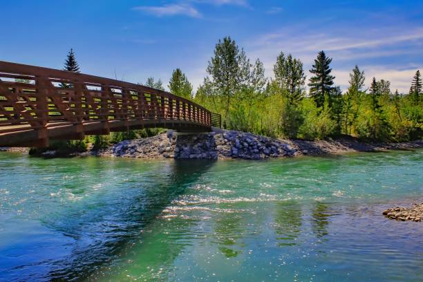 Bridge Over The Bow River A scenic view of a bridge over the bow river in Calgary bow river stock pictures, royalty-free photos & images
