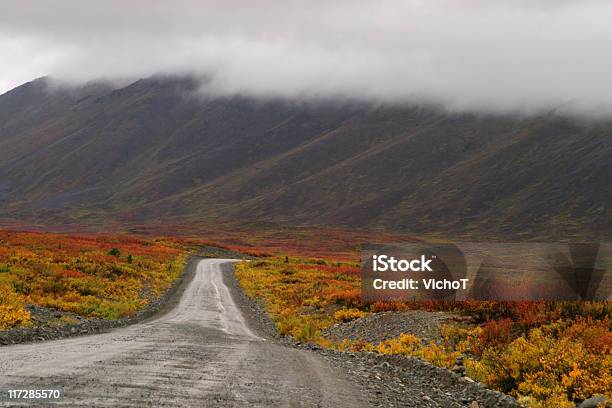 La Silver Road - Fotografie stock e altre immagini di Alaska - Stato USA - Alaska - Stato USA, Alaska interna, Ambientazione esterna