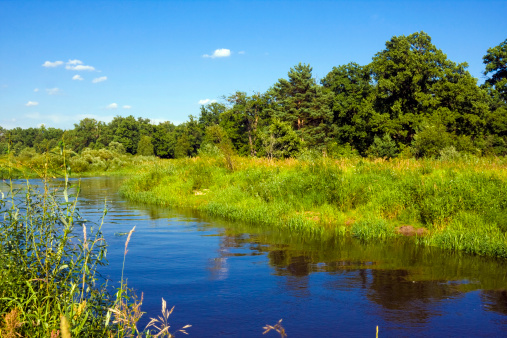 Natural Landscape - Wildlife-filled nature preserve with marshes & creeks - Hendrie Valley