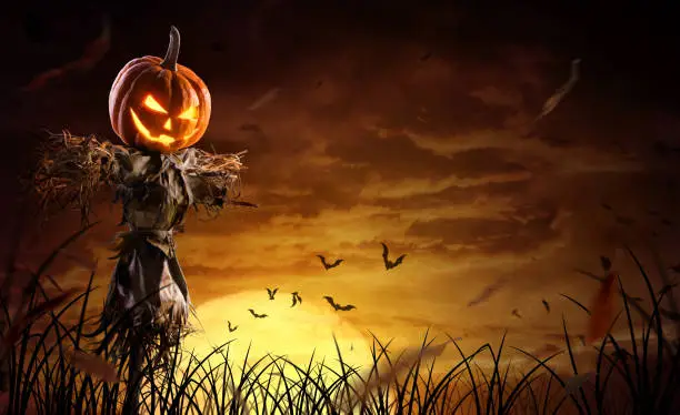 halloween pumpkin scarecrow on a wide field with the moon on a scary night.