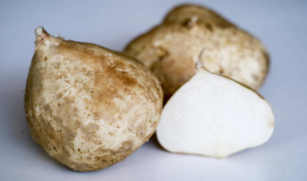 Jicama or Pachyrhizus erosus Jicama or Pachyrhizus erosus on white background. pachyrhizus erosus stock pictures, royalty-free photos & images