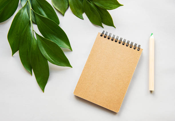 istock Craft notebook and green leaves 1172867863
