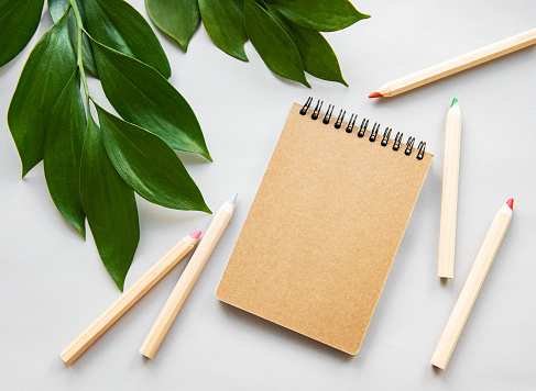 Craft notebook with pencils on a white background with green leaves.  Natural eco concept.