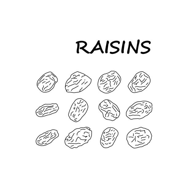 информационный плакат эскиз установить надпись изюм. - raisin stock illustrations