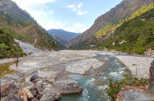 Mountain river valley with scenic Himalaya landscape with aquatic birds at Munsiyari Uttarakhand, India.