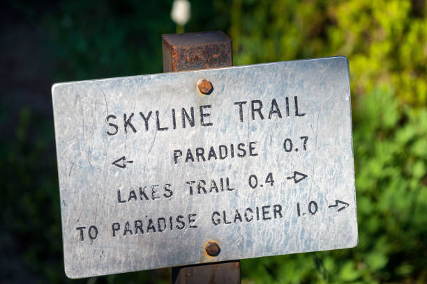 istock Skyline trail sign in Mount Rainier, WA 1172880145