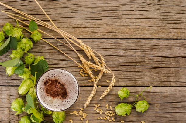 ガラスのビール、ホップは、木製のテーブルの背景に緑のコーン、大麦と小麦の耳を植え、コピースペース - mug beer barley wheat ストックフォトと画像