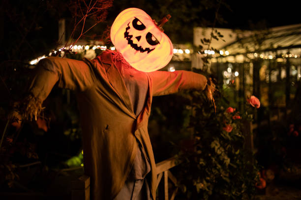 istock Scarecrow with crow standing in pumpkin patch 1172883740