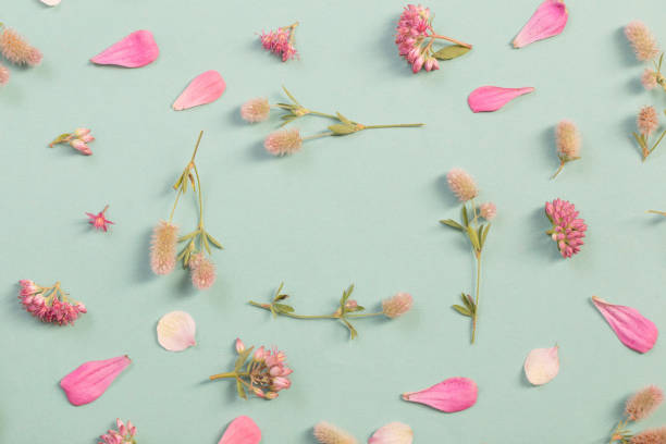 istock patter with wild flowers on paper background 1172884338