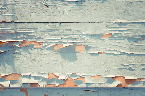 istock Weathered paint wood surface texture. Aged white paint background. 1172884462