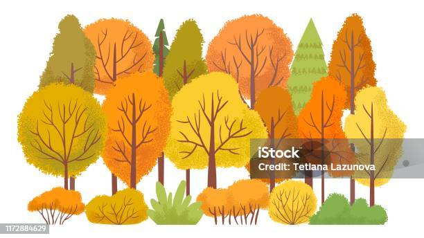 가을 숲 나무입니다 가을 정원 노란 나무 추상 만화 벡터 일러스트 가을에 대한 스톡 벡터 아트 및 기타 이미지 - 가을, 0명, 10월  - Istock