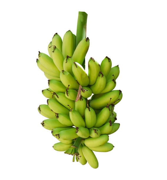 istock Green banana isolated on white background. Object with clipping path 1172884752