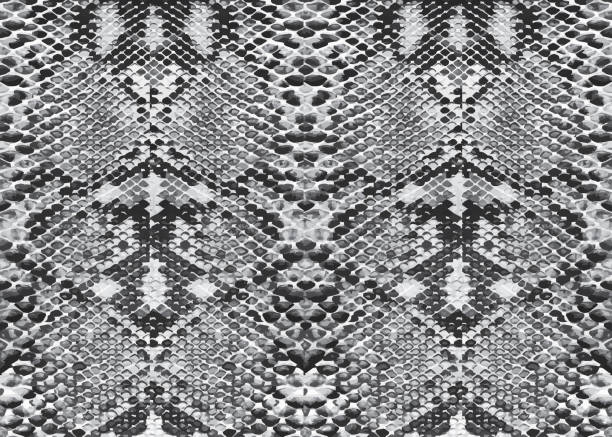 뱀 피부, 벡터 디자인 - 비단뱀 stock illustrations