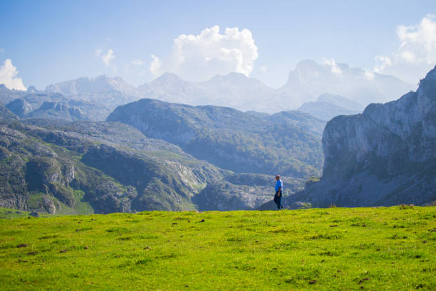 코바동가 호수, 아스투리아스, 스페인에서 걷고있는 남자. 배경에 산이 있는 녹색 초원 - spain famous place mountain range time of day 뉴스 사진 이미지