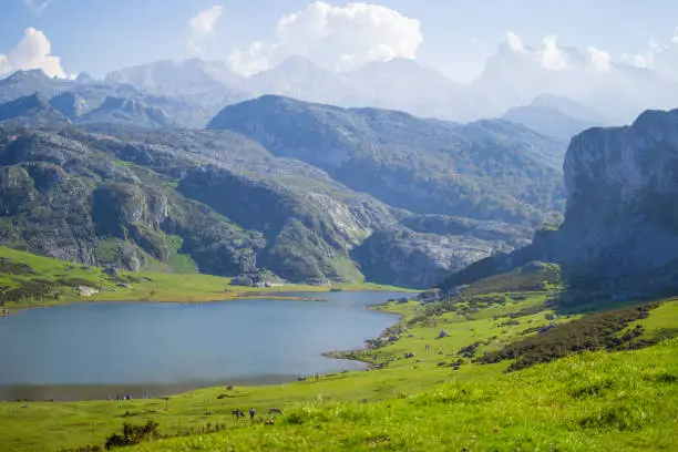 Nice views of Ercina Lake in Covadonga, Asturias, Spain. Green grassland with a glaciar lake and mountains at the background