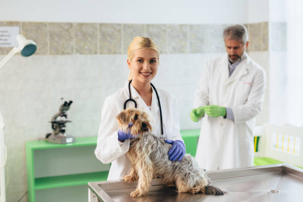 istock veterinarian in vet clinic 1172891408