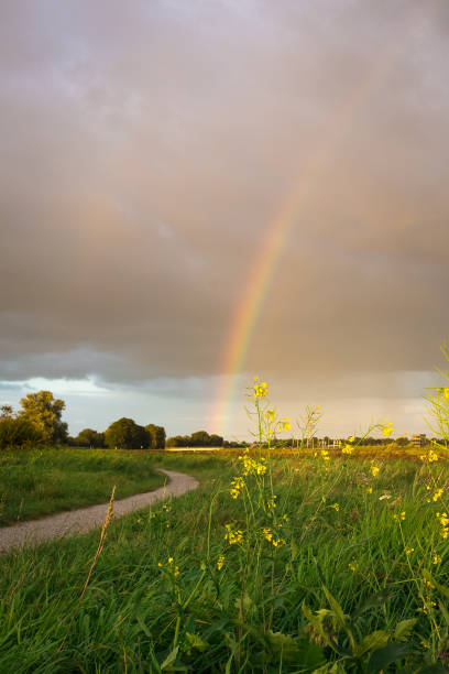 Rainbow over summer field landscape sunset in north Poland.