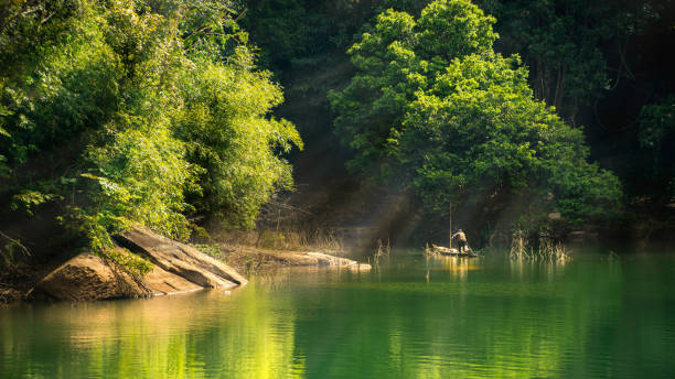 istock Green forest and water reflection on lake. Warm sunny summer day 1172892686