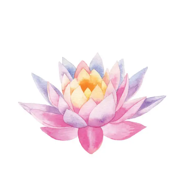 Vector illustration of Watercolor Lotus