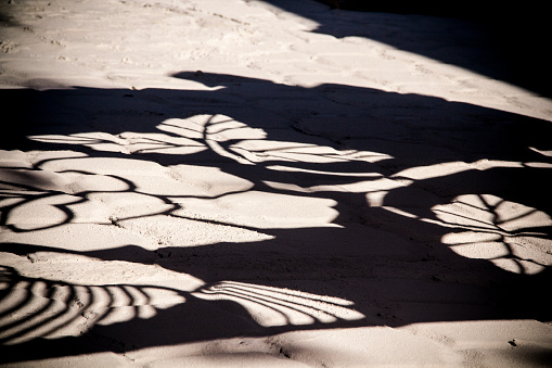 Floral shade reflection on tiled floor at dia de los muertos into a rural county in mexico