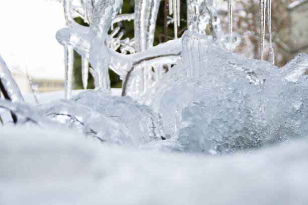 Frozen nature during the cold winter - close up