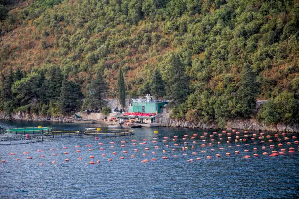 Village in Montenegro on the Mediterranean coast, Red buoys for fishing in the sea.