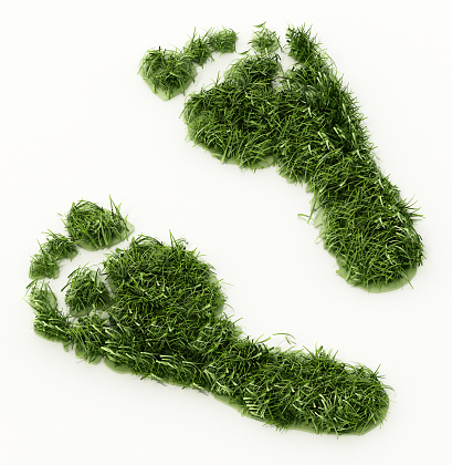 Green footprints isolated on white.