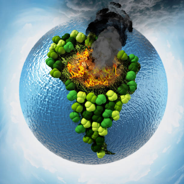 Environmental disaster concept with fire in Amazon forest, the lungs of our world.
