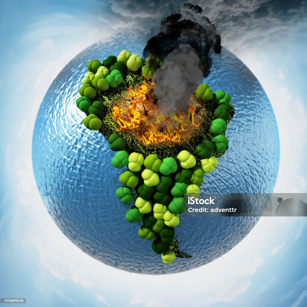 Khái Niệm Thảm Họa Môi Trường Với Lửa Trong Rừng Amazon Lá Phổi ...