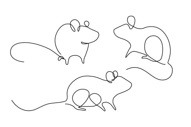 illustrations, cliparts, dessins animés et icônes de ensemble de rats mignons - souris animal