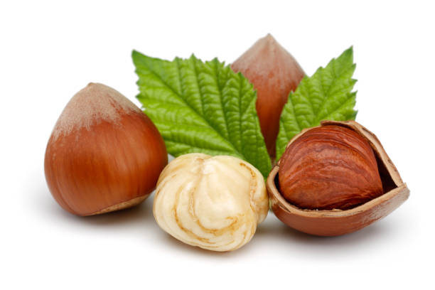 istock Group of hazelnuts with green leaves isolated 1172904981