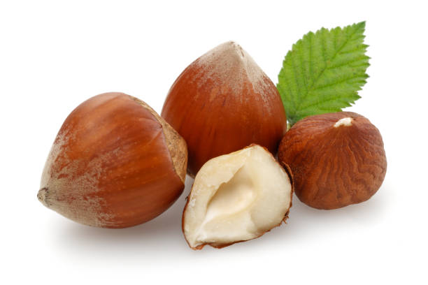 istock Group of hazelnuts with green leaves isolated 1172905595