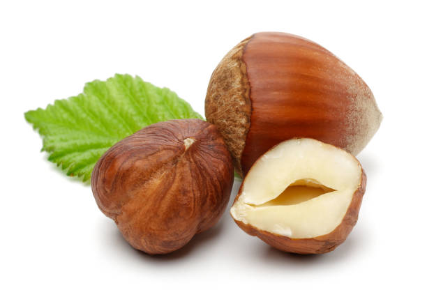 istock Group of hazelnuts with green leaves isolated 1172906309