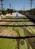 verdugo-wash.jpg?b=1&s=170x170&k=20&c=K_1Db-9hMECkLpchbR2M-6xnBRvfaVz4PSlm0Vlje5Q=