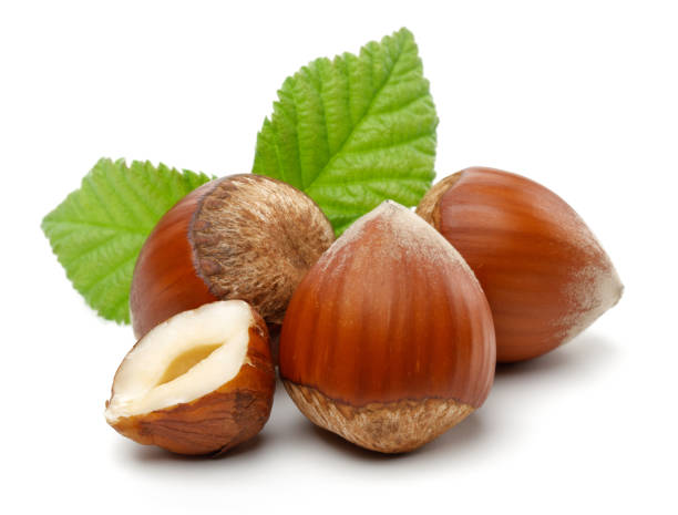 istock Group of hazelnuts with green leaves isolated 1172906797