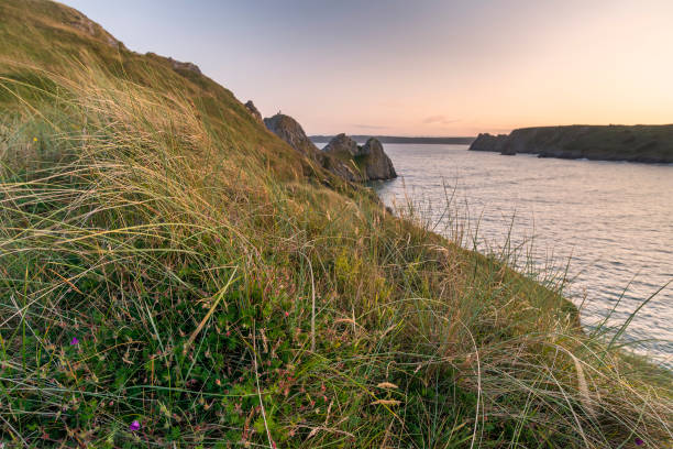 istock Beautiful peaceful Summer evening sunset beach landscape image at Three Cliffs Bay in South Wales 1172909499