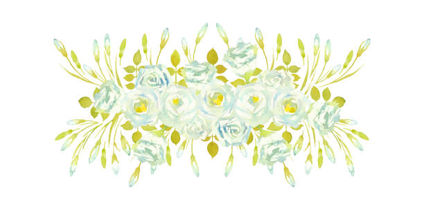 Bouquets of Lisianthus Rosita White. Composition of greenery and white Lisianthus. Greeting card. Watercolor illustration. Bouquets of Lisianthus Rosita White on a white background. Composition of greenery and white Lisianthus. Greeting card. Watercolor illustration. drawing of a green lisianthus stock illustrations