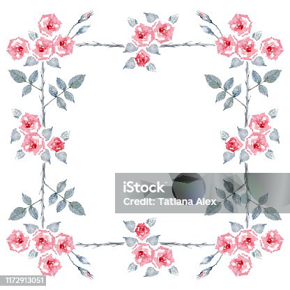 istock Blaze Improved Climbing Rose. Isolated frame of pure red English garden roses. Greeting card. Watercolor illustration. 1172913051