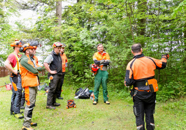 istock Instructor and participants of a chainsaw course 1172914613