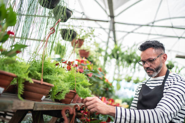 istock Florist working at small business flower shop 1172916004