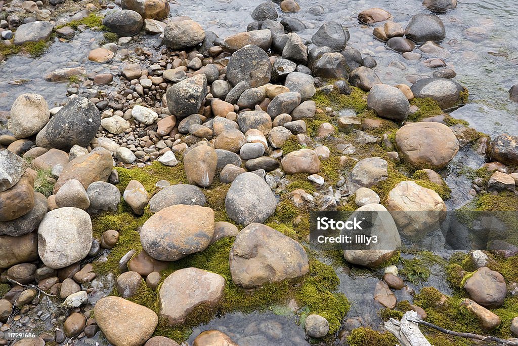 Cailloux et de mousse sur la rive de la rivière athasbasca - Photo de Alberta libre de droits