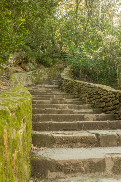 istock stairway that goes up in nature 1172918170