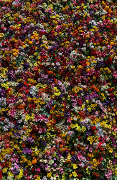 istock Flowers Wall in Lisbon 1172927335