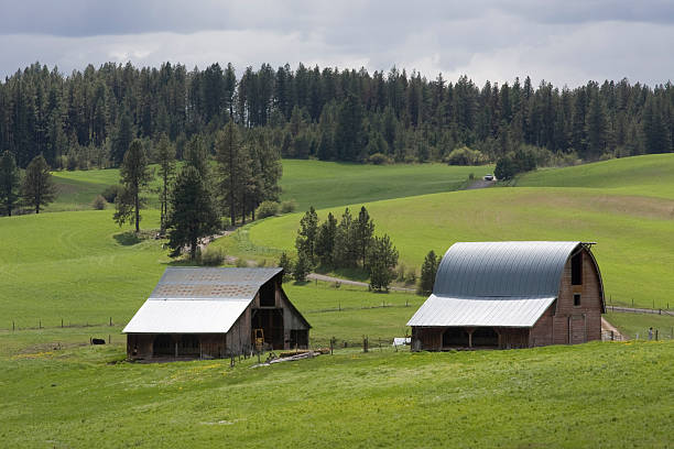 Barns on the farm stock photo