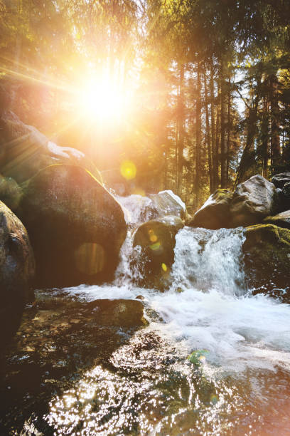 primer plano paisaje del bosque cascada corriente de agua del río bosque de montaña a través de piedras al atardecer. - flowing water stream moss river fotografías e imágenes de stock